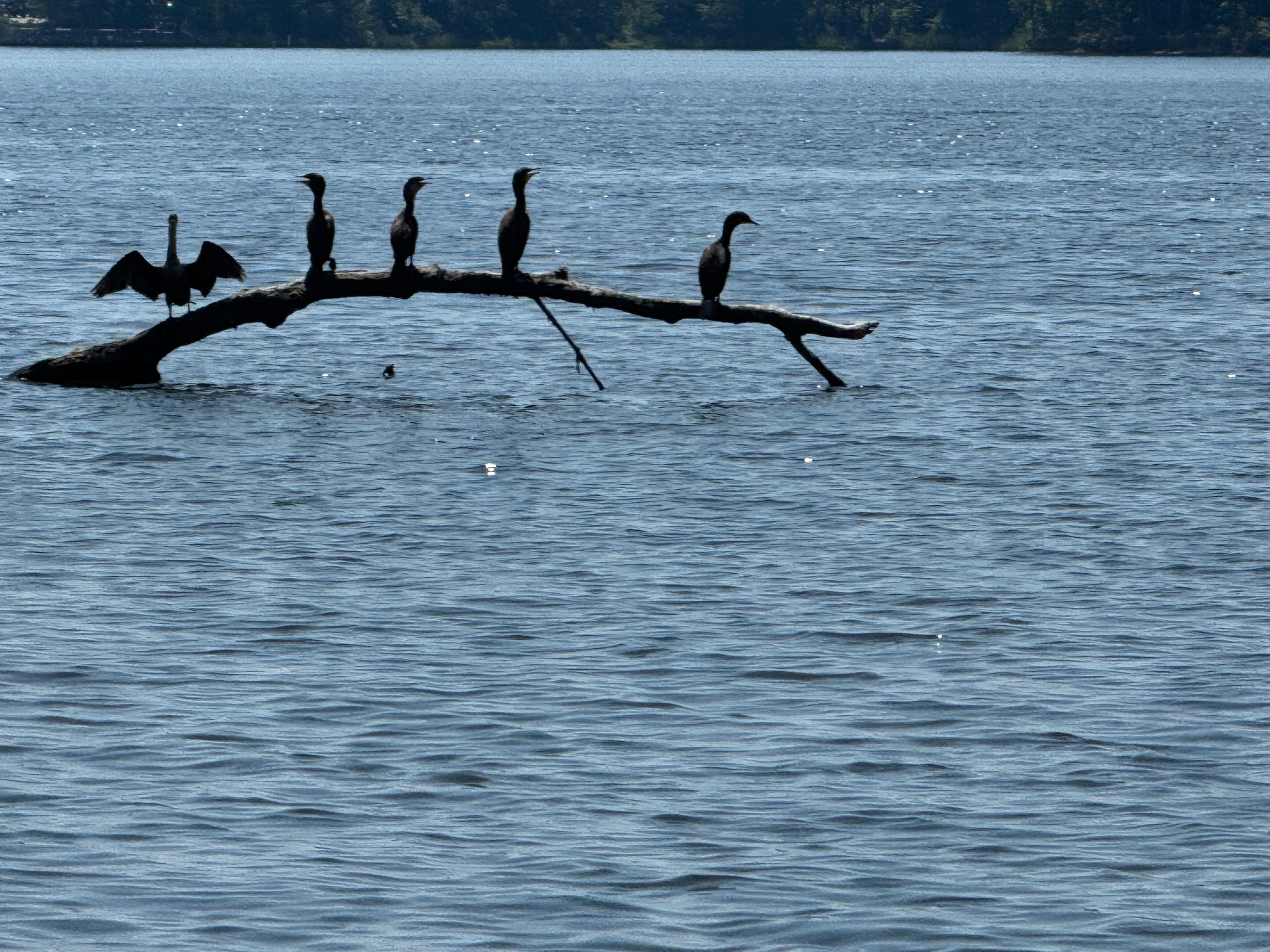 On calm waters