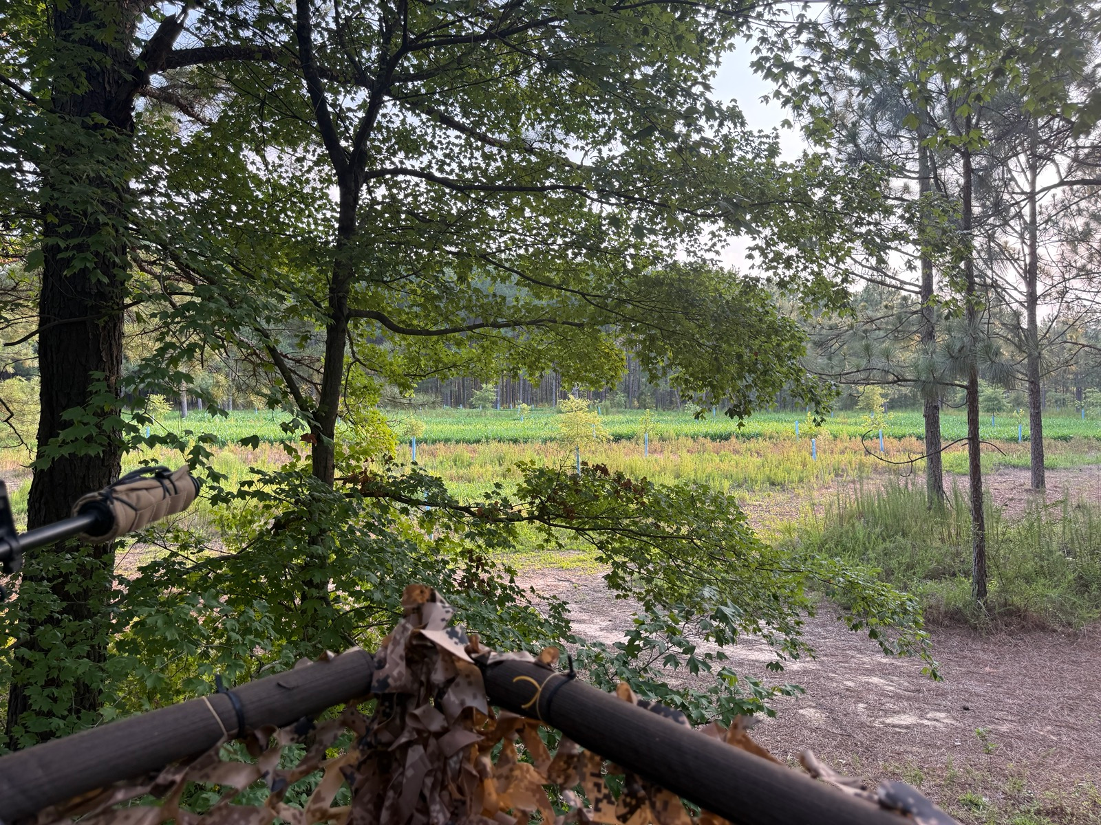 Deer Hunting 101:  Your First Deer Season Starts Here Webinar