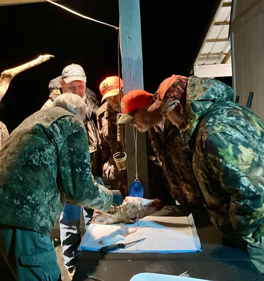 Special Early Antlered Deer Season Opens August 22–23 in All NC CWD Management Areas